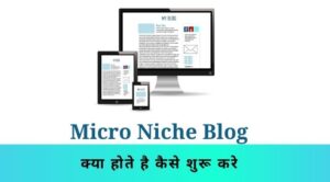 micro-niche-blog